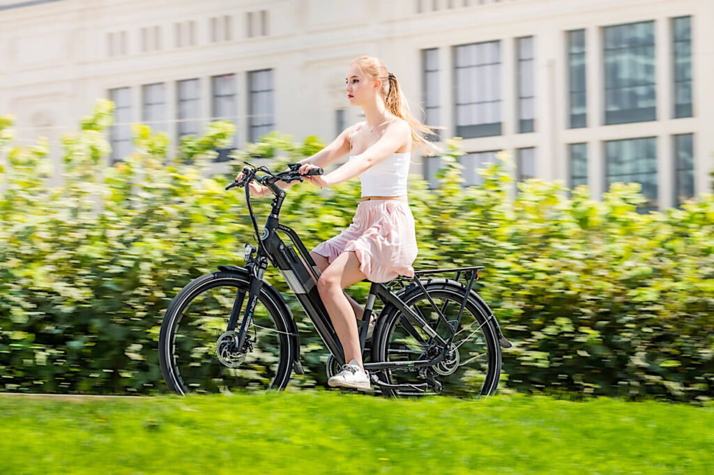 immagine touring citybike