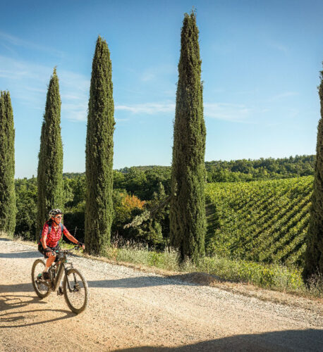 immagine in vacanza con ebike